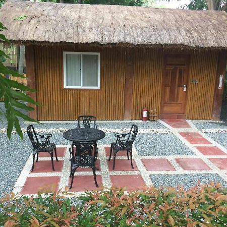Buenavista Family Inn Tagudin Extérieur photo