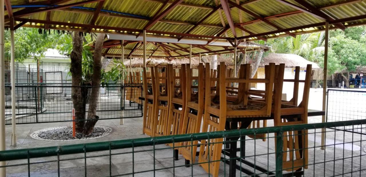 Buenavista Family Inn Tagudin Extérieur photo