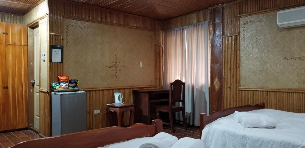 Buenavista Family Inn Tagudin Extérieur photo