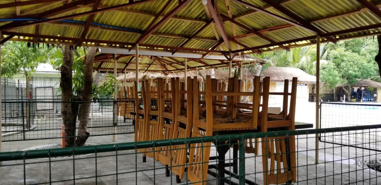 Buenavista Family Inn Tagudin Extérieur photo
